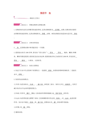 秋八年级生物上册 5.1.4 鱼学案 （新版）新人教版-（新版）新人教版初中八年级上册生物学案