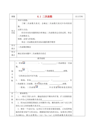 九年级数学下册 第六章《二次函数》精品教学案 苏科版
