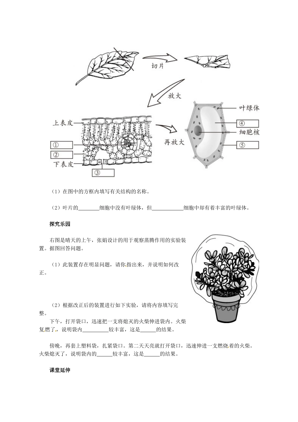 天津市小站第一中学七年级生物上册 3.3.3 绿色植物参与生物圈的水循环同步练习 新人教版_第2页
