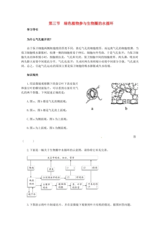 天津市小站第一中学七年级生物上册 3.3.3 绿色植物参与生物圈的水循环同步练习 新人教版