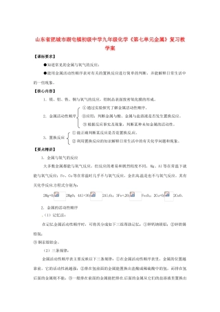 山东省肥城市湖屯镇初级中学九年级化学《第七单元金属》复习教学案