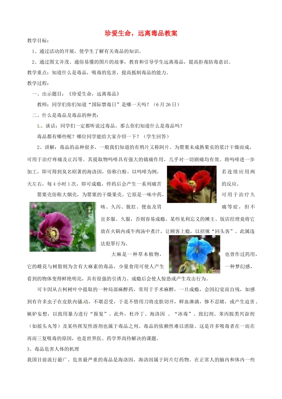 山东省聊城市阳谷实验中学九年级化学《实践课》—珍爱生命 远离毒品教案_第1页