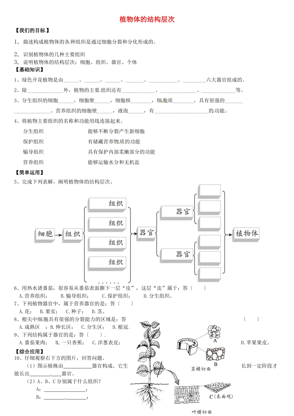天津市小站第一中学七年级生物上册 2.3.2 植物体的结构层次导学案（无答案） 新人教版_第1页