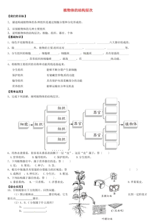 天津市小站第一中学七年级生物上册 2.3.2 植物体的结构层次导学案（无答案） 新人教版