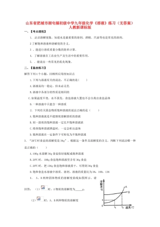 山东省肥城市湖屯镇初级中学九年级化学《溶液》教案 人教新课标版