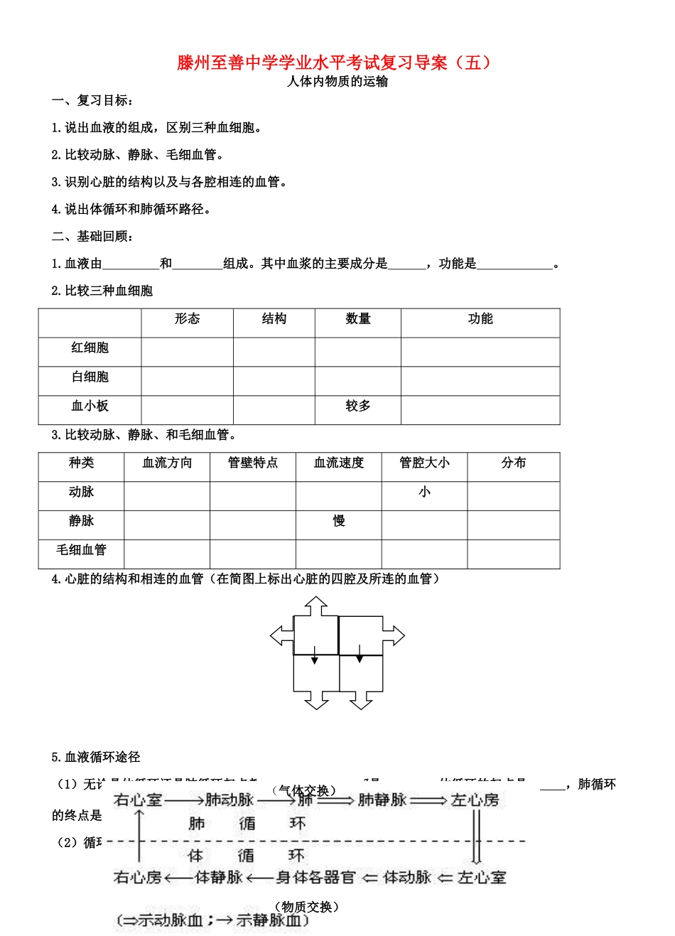 山东省滕州至善中学中考生物学业水平考试复习导学案（五）（无答案）_第1页
