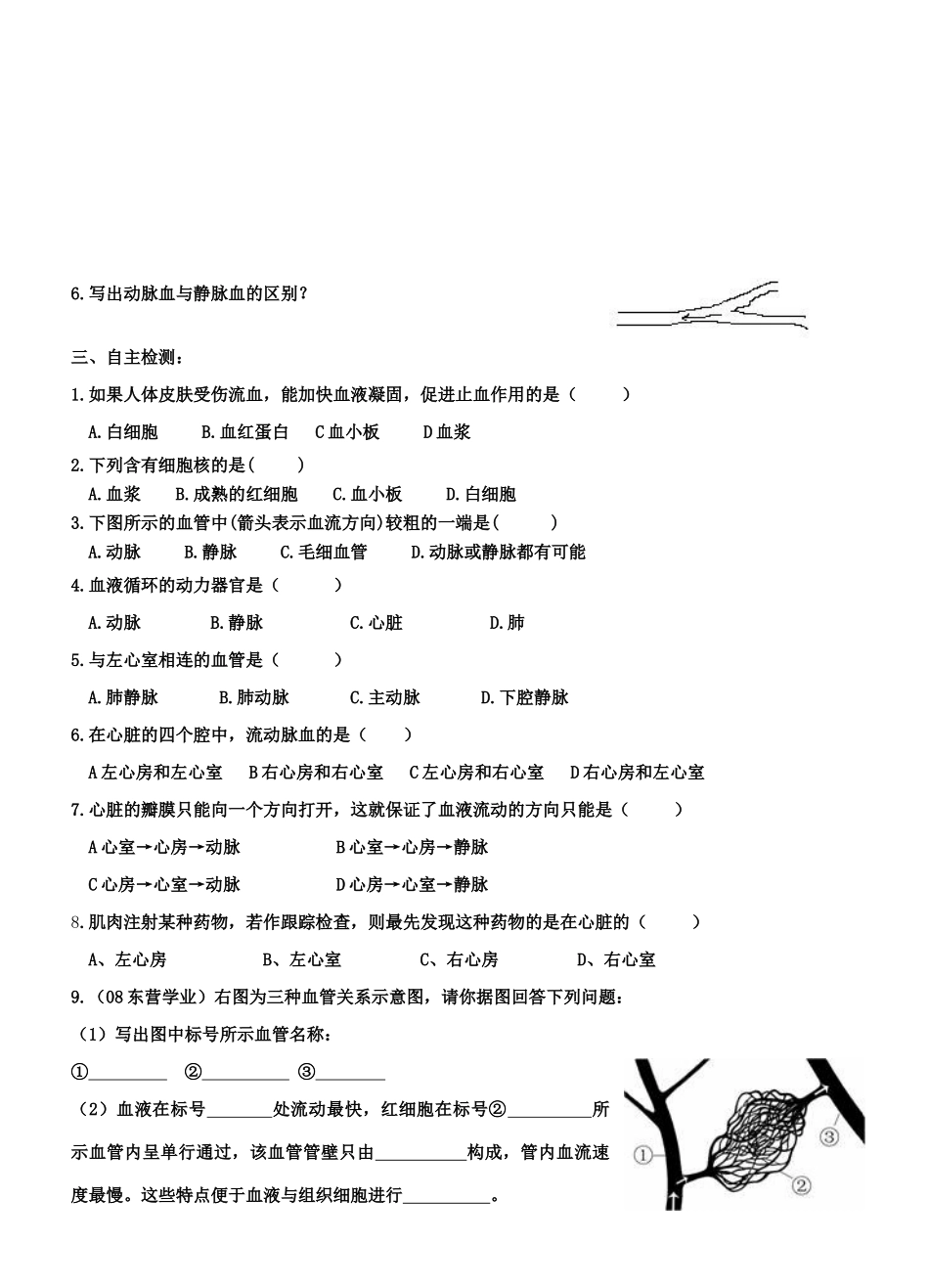 山东省滕州至善中学中考生物学业水平考试复习导学案（五）（无答案）_第2页