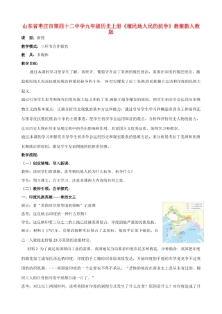 山东省枣庄市第四十二中学九年级历史上册《殖民地人民的抗争》教案 新人教版