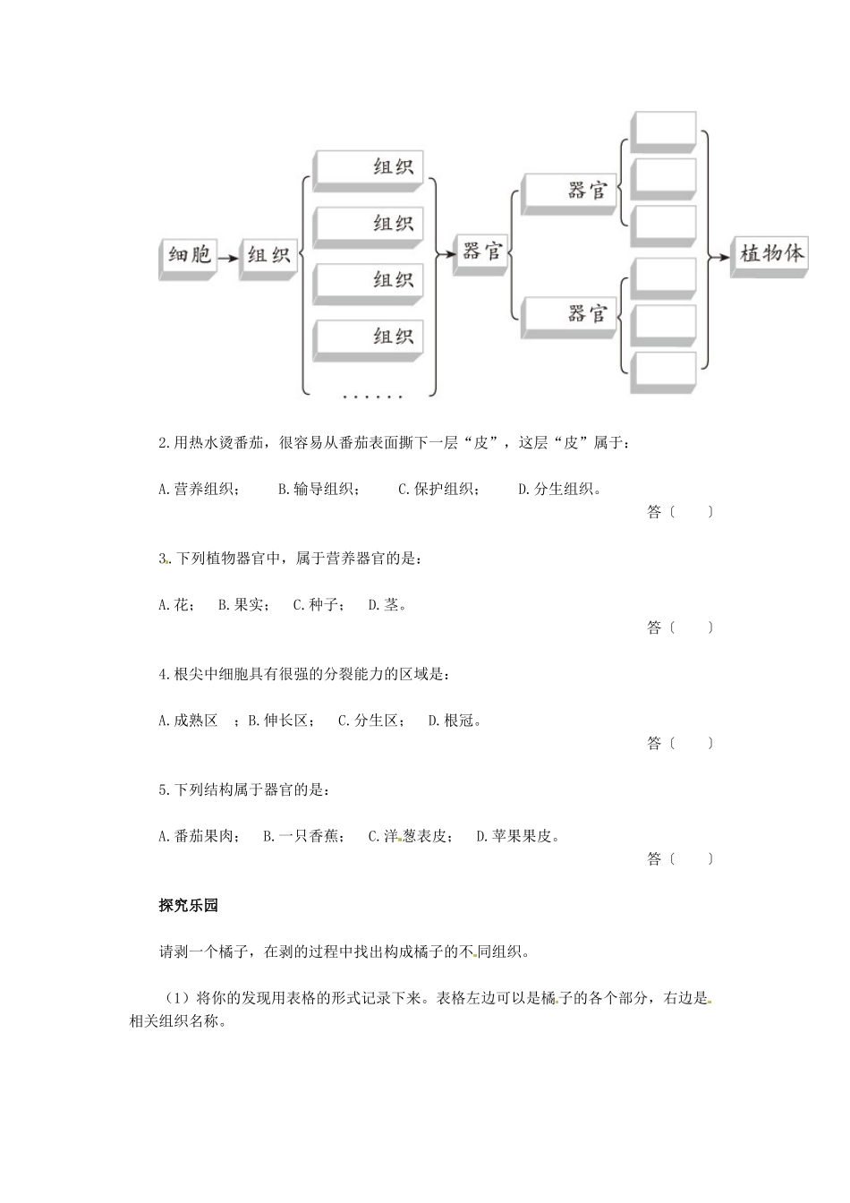 天津市小站第一中学七年级生物上册 2.3.2 植物体的结构层次同步练习 新人教版_第2页