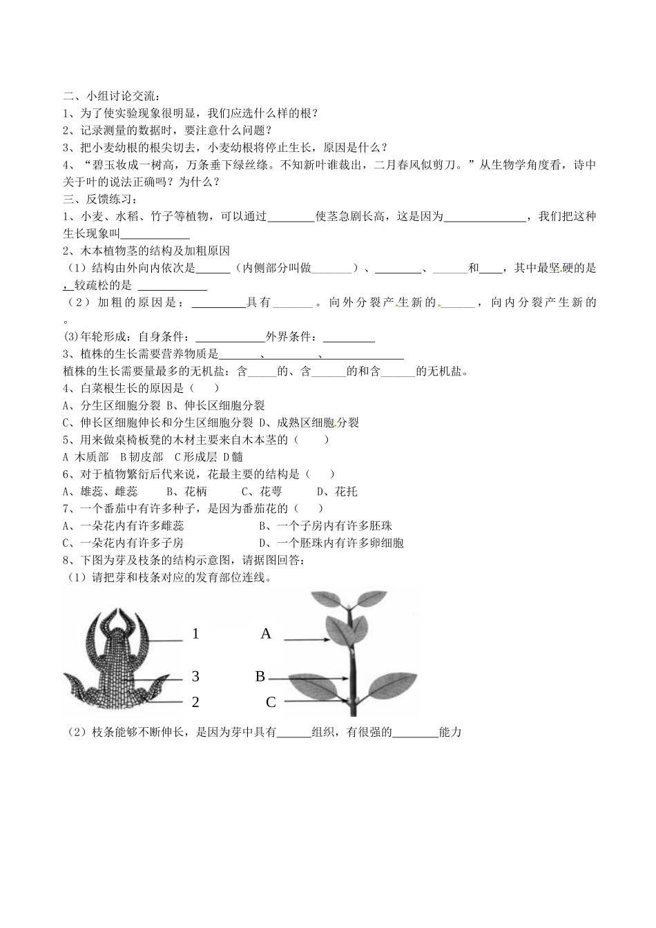 山东省肥城市安站中学七年级生物下册 被子植物的一生复习学案（无答案） 鲁科版_第3页