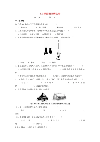 辽宁省凌海市石山初级中学七年级历史上册 1.2原始的农耕生活问题评价单 新人教版