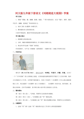 九年级语文下册《刘姥姥进大观园》学案河大版