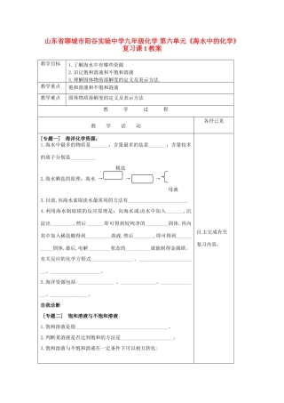 山东省聊城市阳谷实验中学九年级化学 第六单元《海水中的化学》复习课1教案