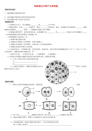 天津市小站第一中学七年级生物上册 2.2.3 细胞通过分裂产生新细胞导学案（无答案） 新人教版