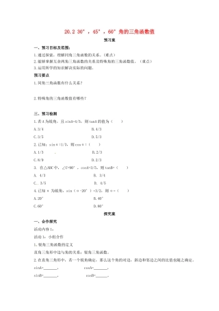 九年级数学上册 20.2 30°、45°、60°角的三角函数值导学案 （新版）北京课改版-北京课改版初中九年级上册数学学案