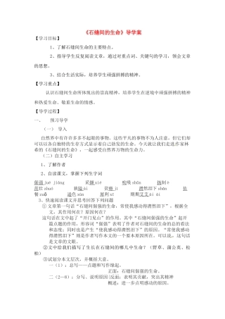 九年级语文上册 3.11《石缝间的生命》学案 北京课改版
