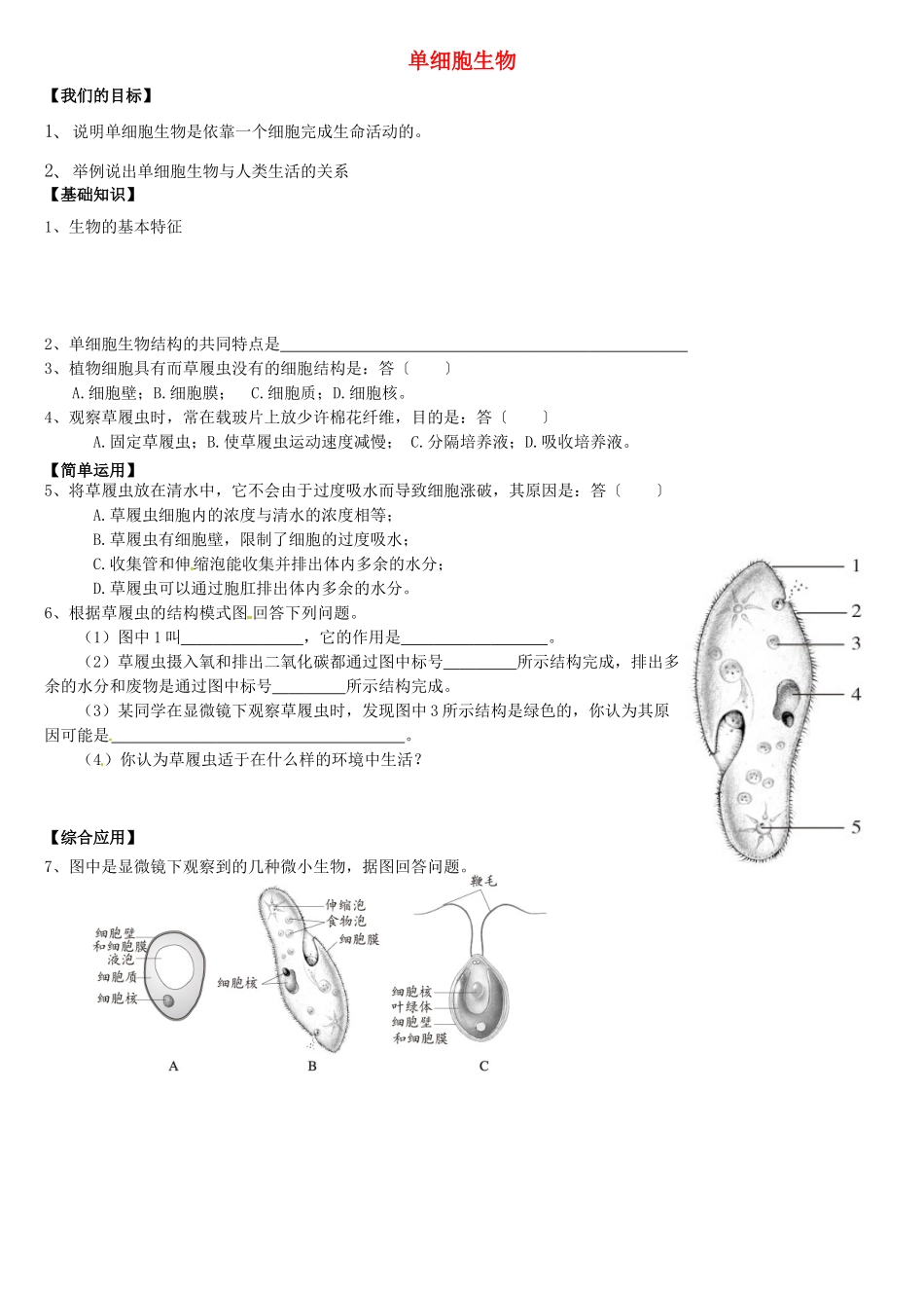 天津市小站第一中学七年级生物上册 2.2.4 单细胞生物导学案（无答案）（新版）新人教版_第1页