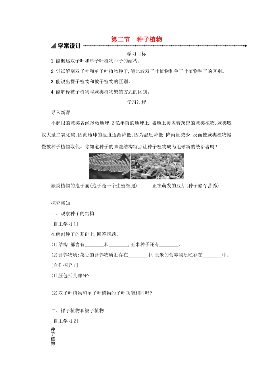 山西省吕梁市临县四中七年级生物上册 3.1.2 种子植物学案 （新版）新人教版-（新版）新人教版初中七年级上册生物学案_第1页