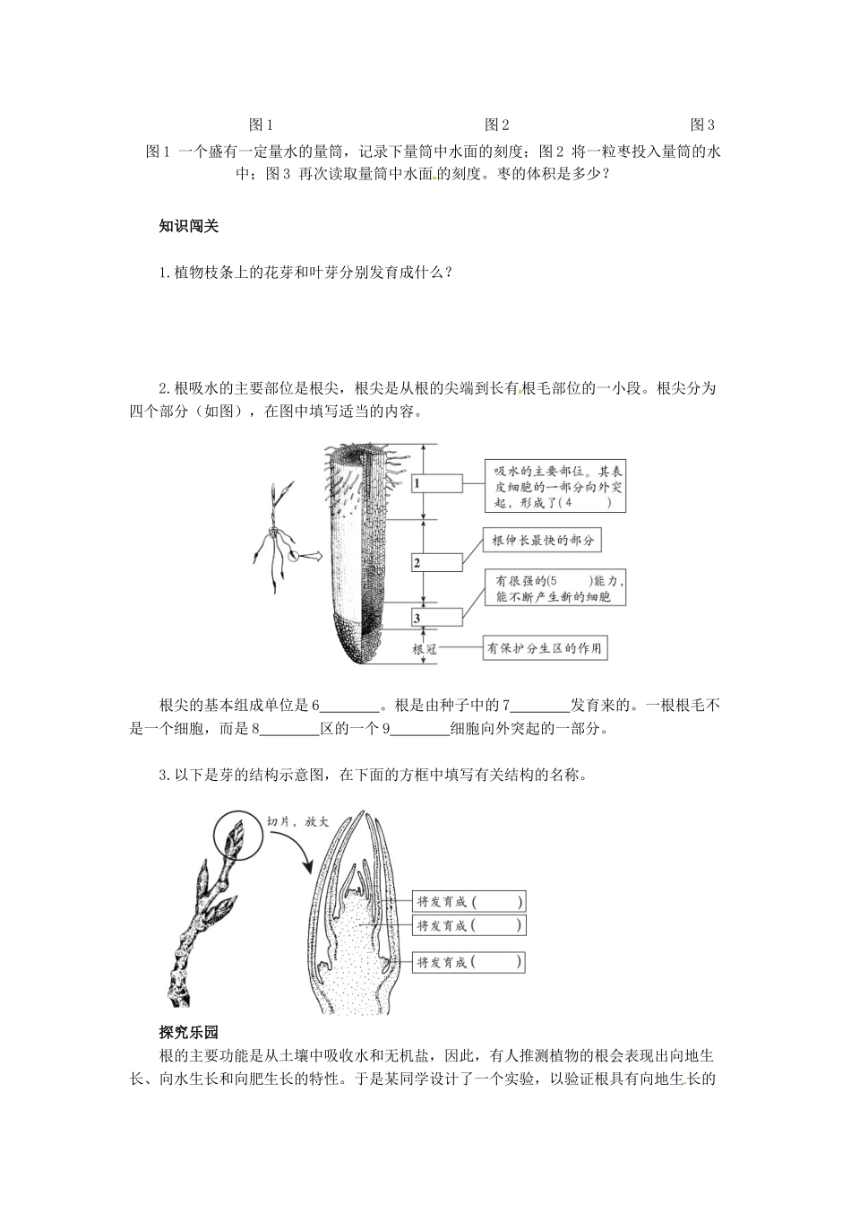 天津市小站第一中学七年级生物上册 3.2.2 植株的生长同步练习 新人教版_第2页