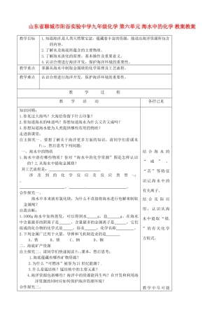 山东省聊城市阳谷实验中学九年级化学 第六单元 海水中的化学 教案教案