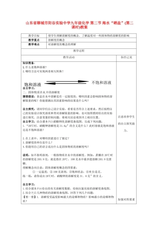 山东省聊城市阳谷实验中学九年级化学 第二节 海水“晒盐”(第二课时)教案