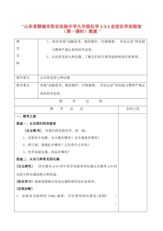 山东省聊城市阳谷实验中学九年级化学 1-3-1走进化学实验室（第一课时）教案 