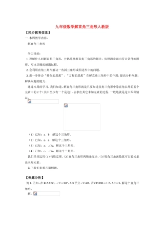 九年级数学解直角三角形学案人教版知识精讲
