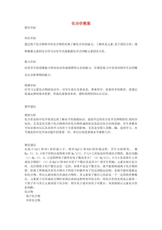 山东省滨州市博兴县吕艺镇第一中学九年级化学 化合价教案