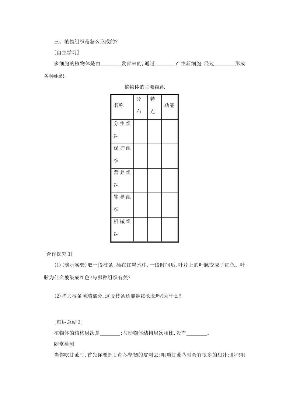 山西省吕梁市临县四中七年级生物上册 2.2.3 植物体的结构层次学案 （新版）新人教版-（新版）新人教版初中七年级上册生物学案_第2页