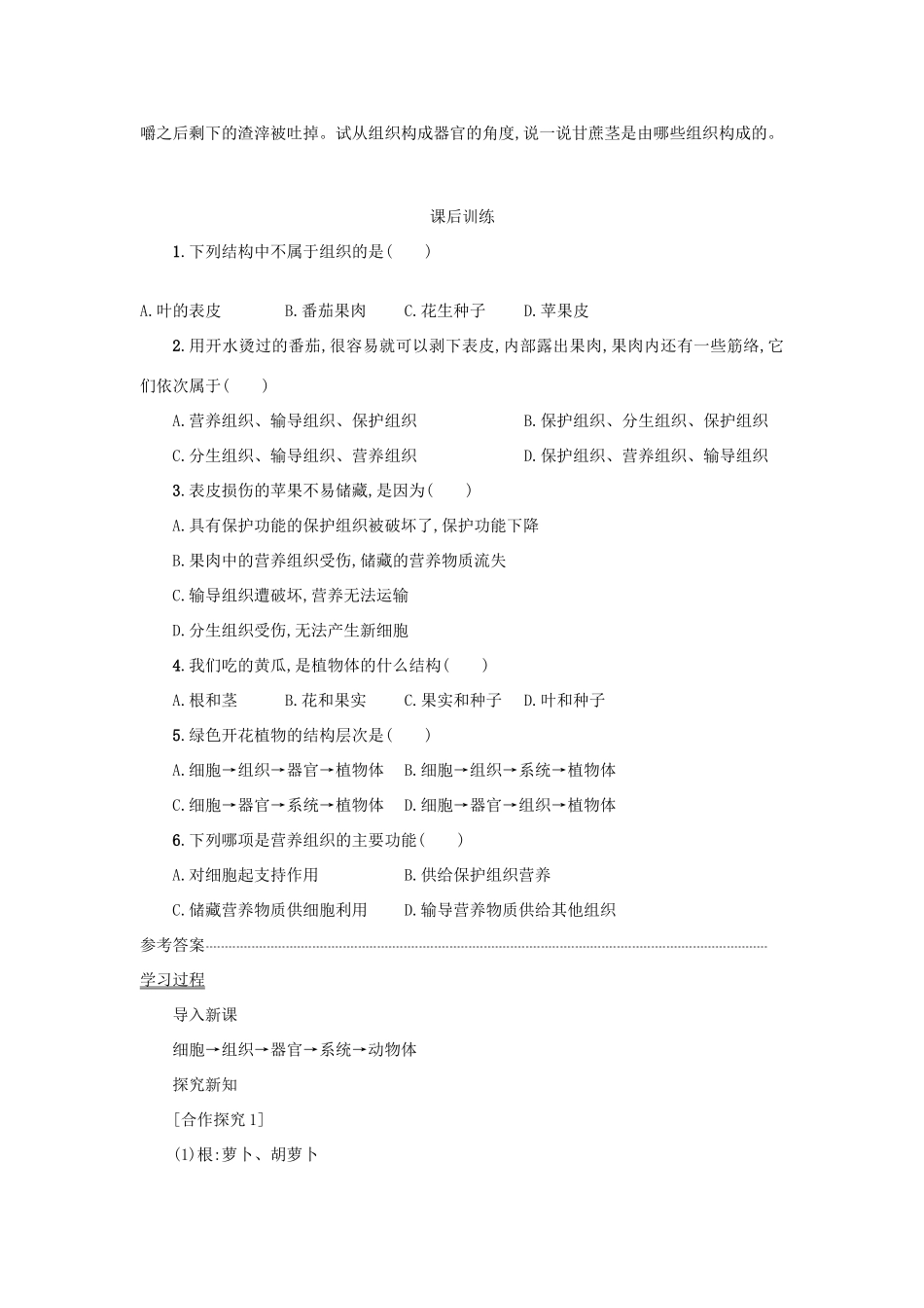 山西省吕梁市临县四中七年级生物上册 2.2.3 植物体的结构层次学案 （新版）新人教版-（新版）新人教版初中七年级上册生物学案_第3页
