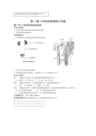 生物教学案11-1