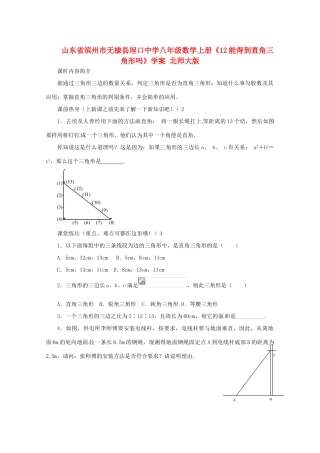 山东省滨州市无棣县埕口中学八年级数学上册《1.2能得到直角三角形吗》学案 北师大版