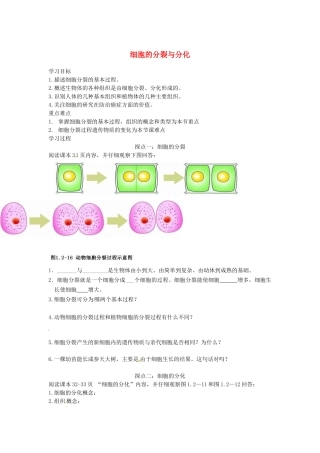山东省单县希望初级中学七年级生物上册 1.2.2 细胞的分裂与分化导学案（无答案） 济南版