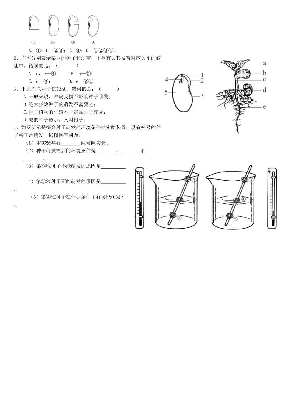 天津市小站第一中学七年级生物上册 3.2.1 种子的萌发导学案（无答案） 新人教版_第2页