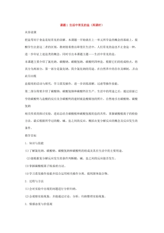 九年级化学下册 第十一单元 生活中常见的盐教案（第一课时）人教新课标版