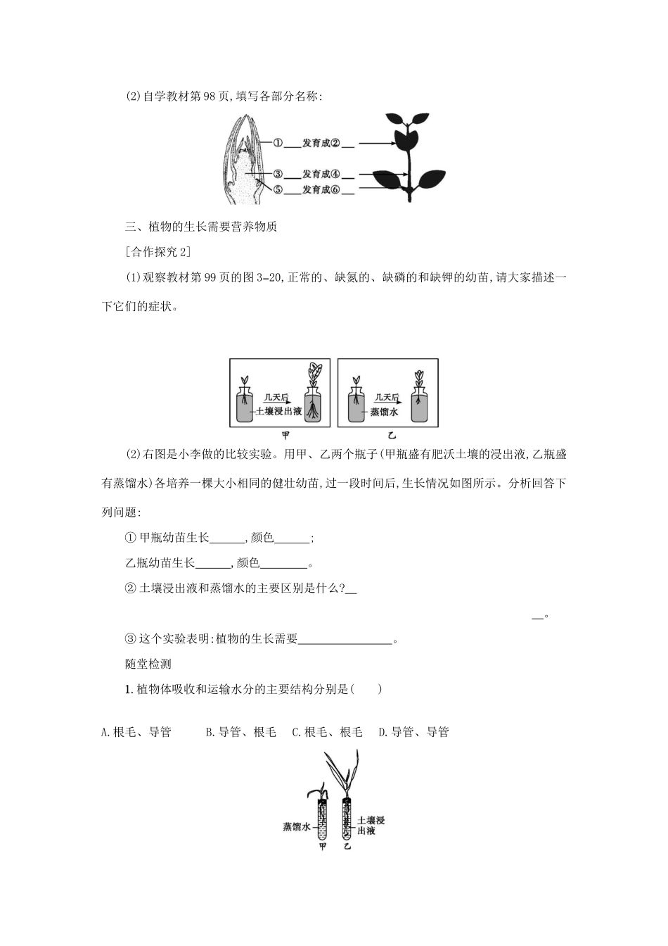 山西省吕梁市临县四中七年级生物上册 3.2.2 植株的生长学案 （新版）新人教版-（新版）新人教版初中七年级上册生物学案_第2页