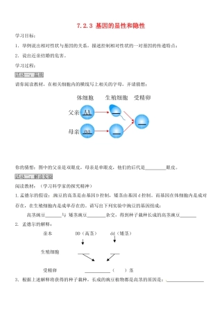 山东省胶南市理务关镇中心中学八年级生物下册 7.2.3 基因的显性和隐性学案（无答案） 新人教版