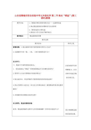 山东省聊城市阳谷实验中学九年级化学 第二节 海水“晒盐”(第三课时)教案