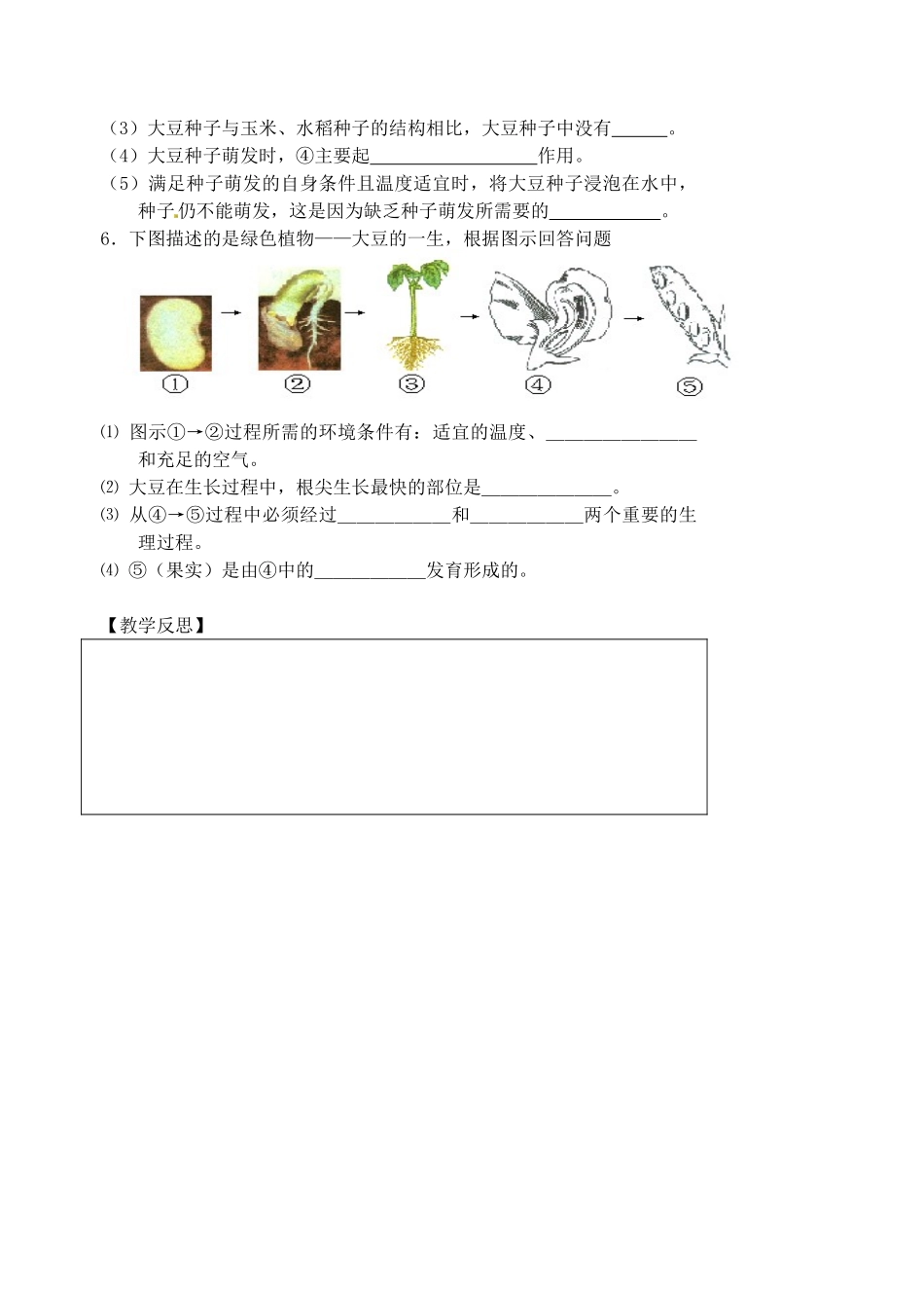 江苏省盱眙县黄花塘中学八年级生物上册 第19章 第2节 植物的生长发育导学案（无答案） 苏科版_第3页
