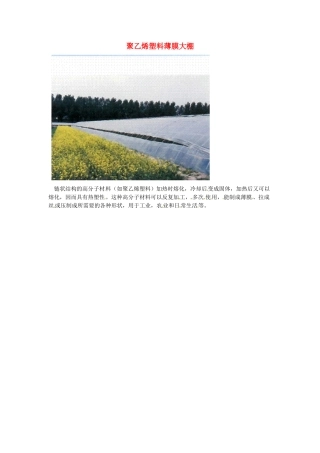 九年级化学下册 9.2 聚乙烯塑料薄膜大棚素材 （新版）粤教版