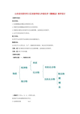 山东省东营市河口区实验学校九年级化学《酸碱盐》教学设计