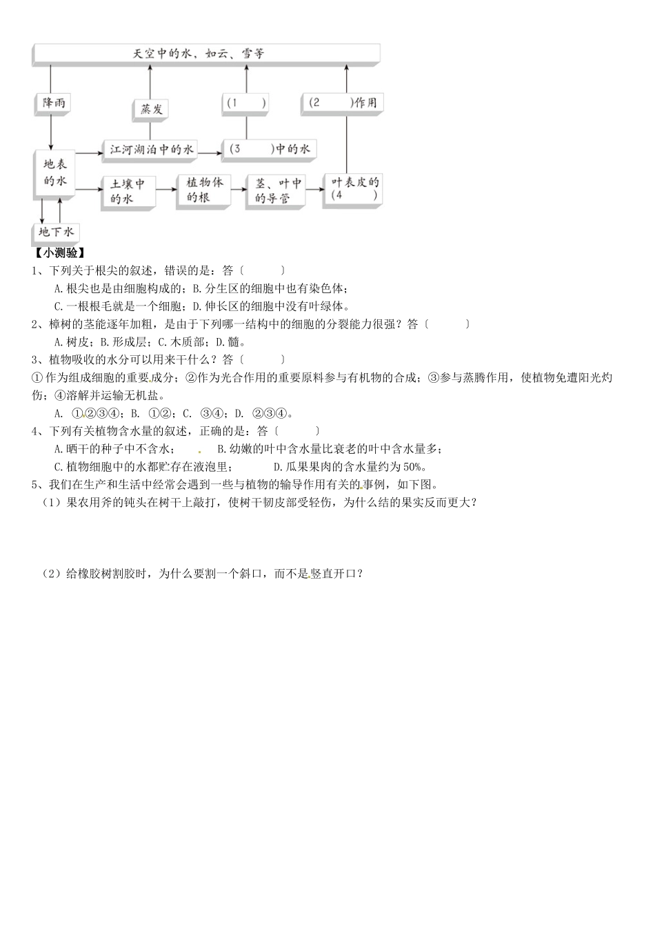天津市小站第一中学七年级生物上册 3.3 绿色植物与生物圈的水循环导学案（无答案） 新人教版_第2页