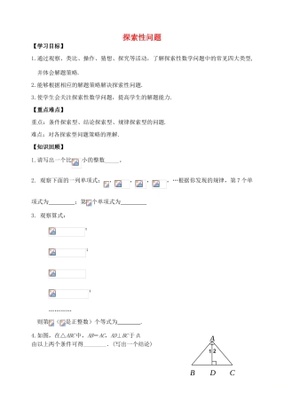 山东省郯城县红花镇中考数学专题复习 专题八 综合应用（30）探索性问题学案-人教版初中九年级全册数学学案
