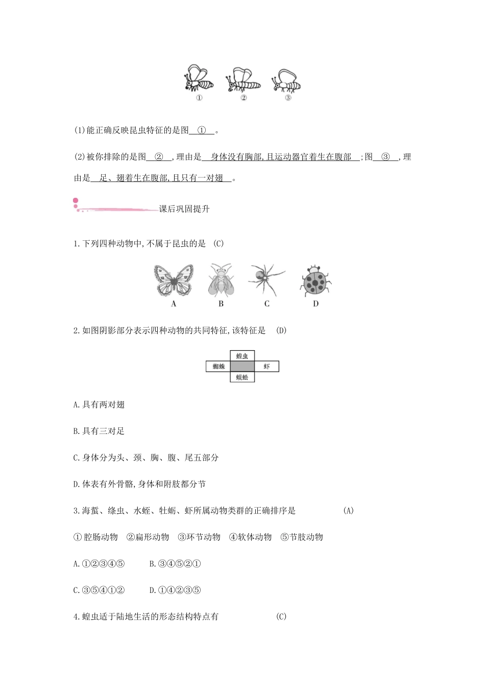 秋八年级生物上册 5.1.3 软体动物和节肢动物（第2课时 节肢动物）学案 （新版）新人教版-（新版）新人教版初中八年级上册生物学案_第3页