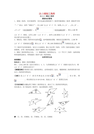 秋九年级数学上册 23.3.1 相似三角形学案 （新版）华东师大版-（新版）华东师大版初中九年级上册数学学案
