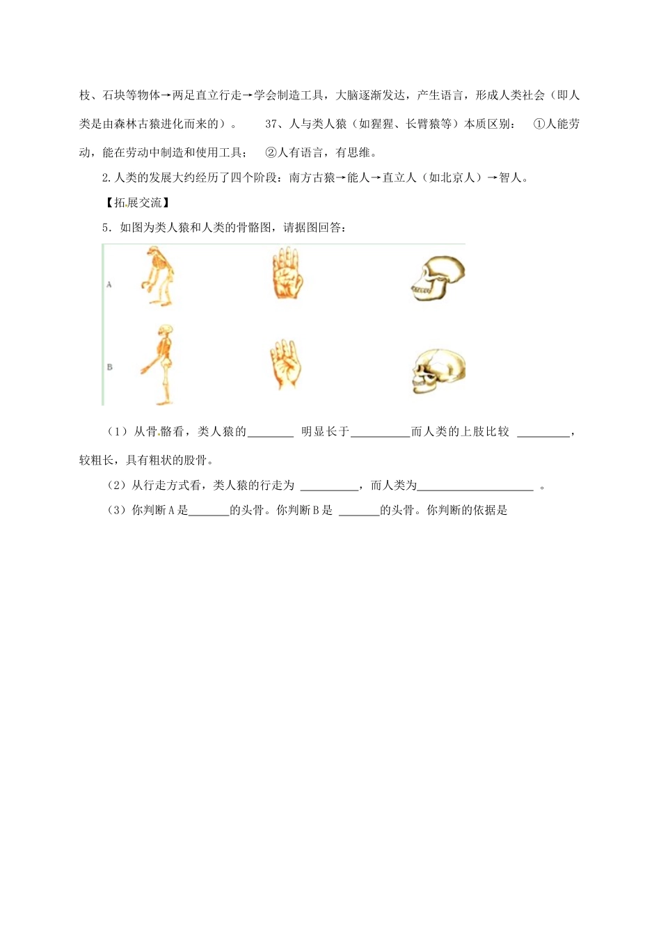 八年级生物下册 6.3.3 人类的起源导学案 （新版）冀教版-（新版）冀教版初中八年级下册生物学案_第3页