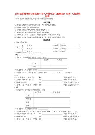 山东省肥城市湖屯镇初级中学九年级化学《酸碱盐》教案 人教新课标版