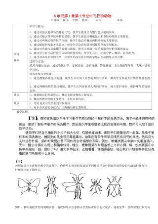 重庆市马王坪学校八年级生物上册《第5单元 第1章 第3节-2 空中飞行的动物》学案 新人教版