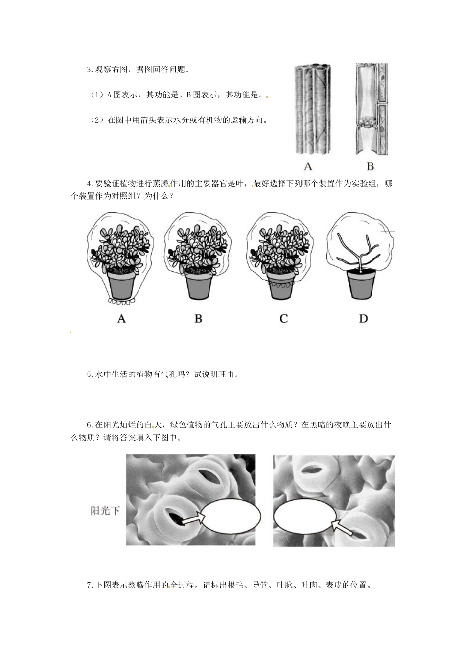 天津市小站第一中学七年级生物上册 3.3 绿色植物与生物圈的水循环综合测评 新人教版_第2页