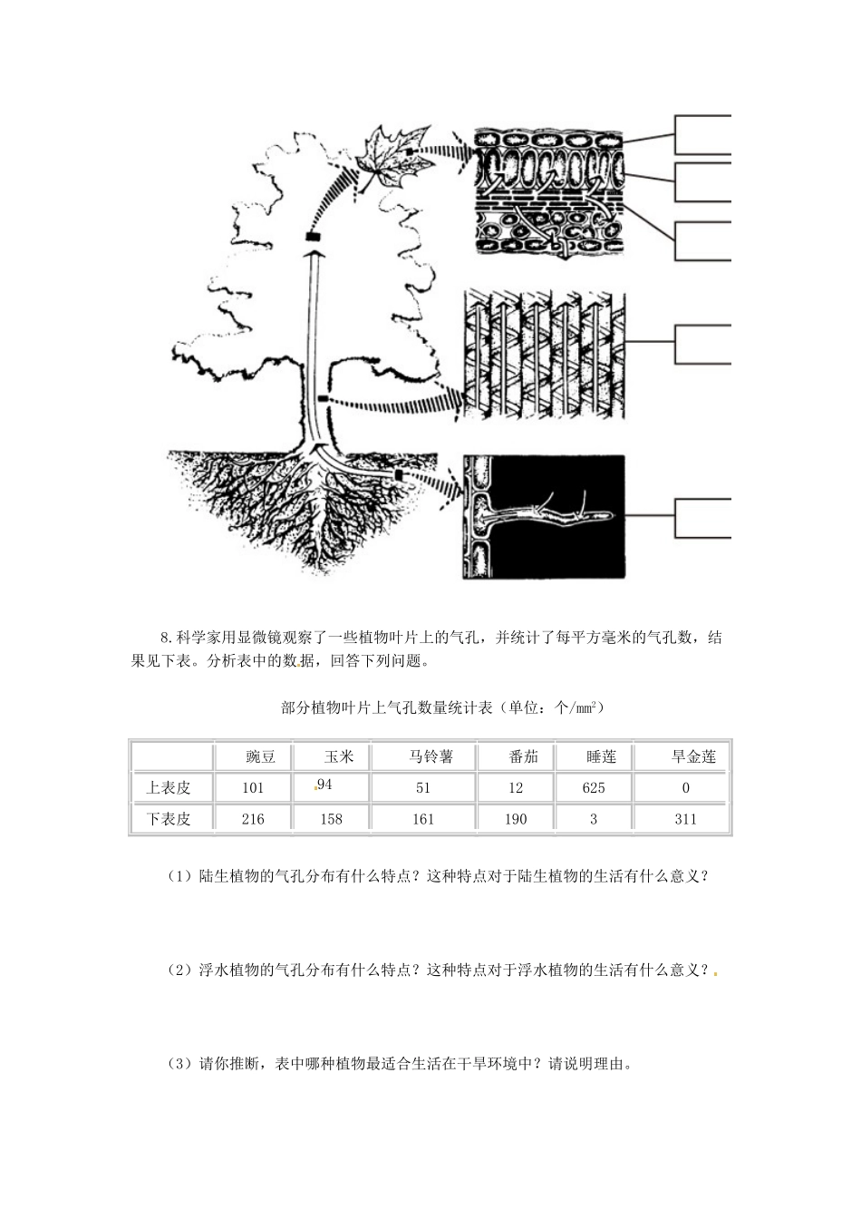 天津市小站第一中学七年级生物上册 3.3 绿色植物与生物圈的水循环综合测评 新人教版_第3页